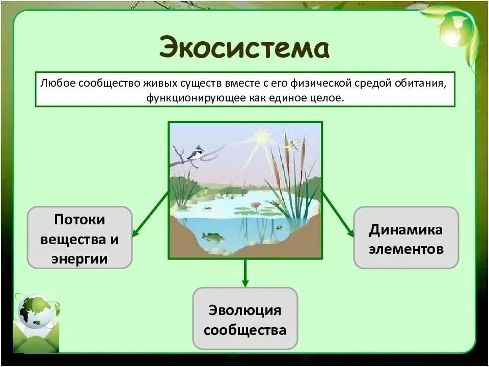 Экосистема. Экологические сообщества. Экологическое сообщество это в биологии. Экосистема это в экологии.