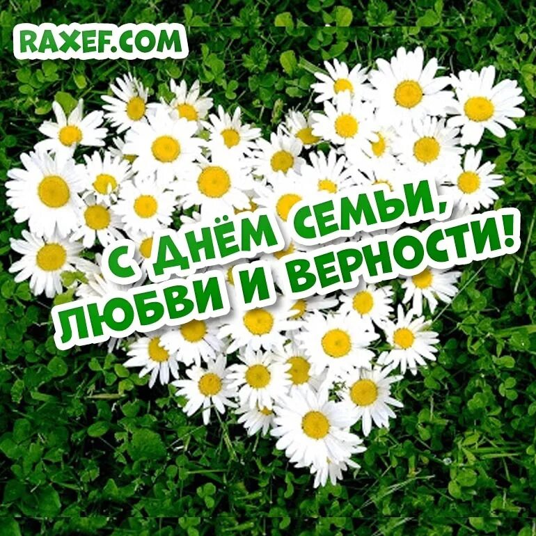 Июль день семьи любви и верности. С днём семьи любви и верности. С дм семьи любви и верности. День семьи любви и верности 2024 фото. С днём семьи любви и верности картинки.