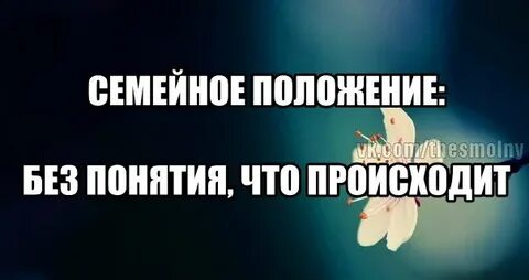 Без положение