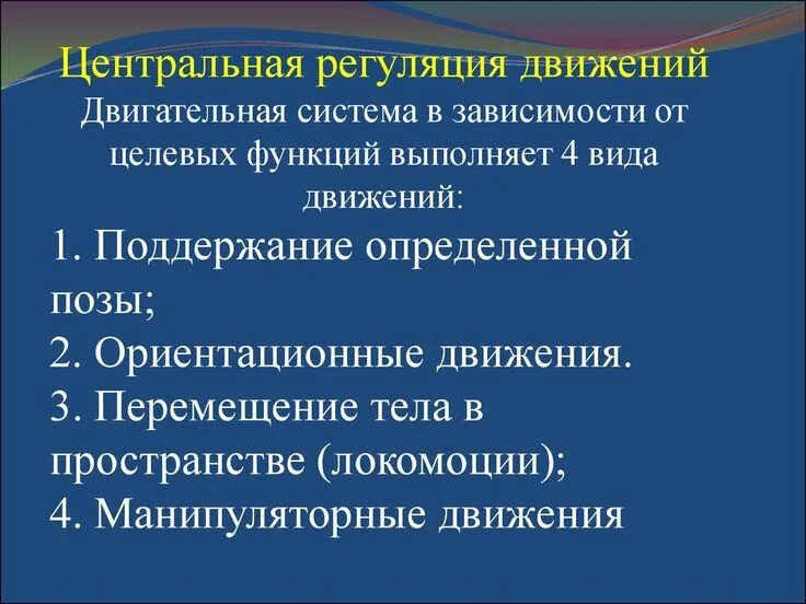 Система передвижения функции. Регуляция движений. центральная регуляция произвольного движения. целевые функции двигательной системы.. виды локомоторных движений.