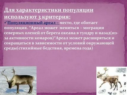 Северные популяции