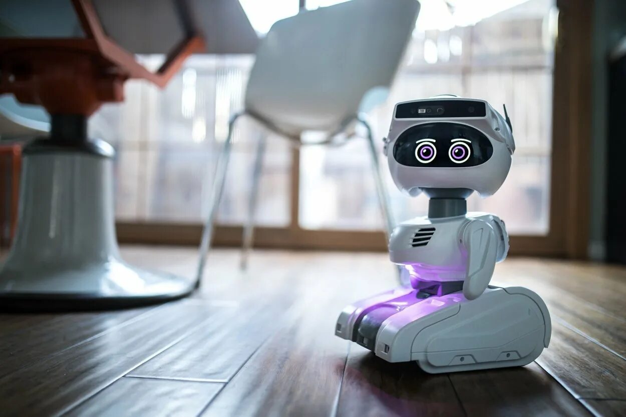 Робот любого типа. Робот misty1. робот лоона. eilik робот. cozmo robot эмо.