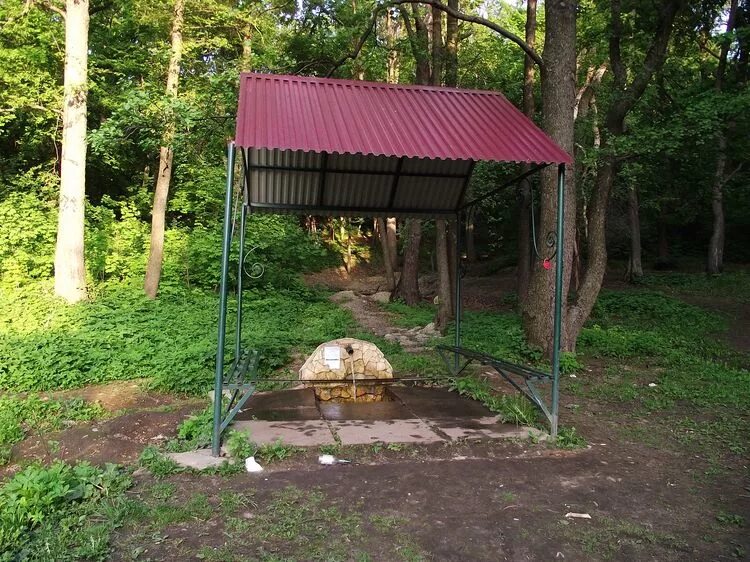 Основа родники. Андреевские пруды Родник. Родник "верхний" Саратов. Андреевские пруды Саратов. Родники Андреевский ключик.