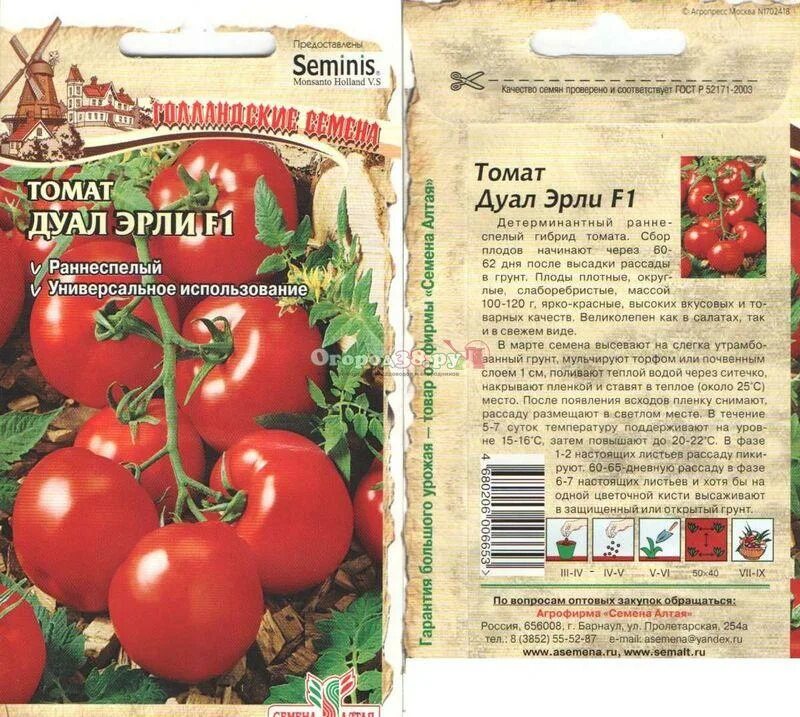 Amazon.com : NIKA SEEDS - Vegetable Tomato Black Prince - 50 Seeds : Patio, Lawn