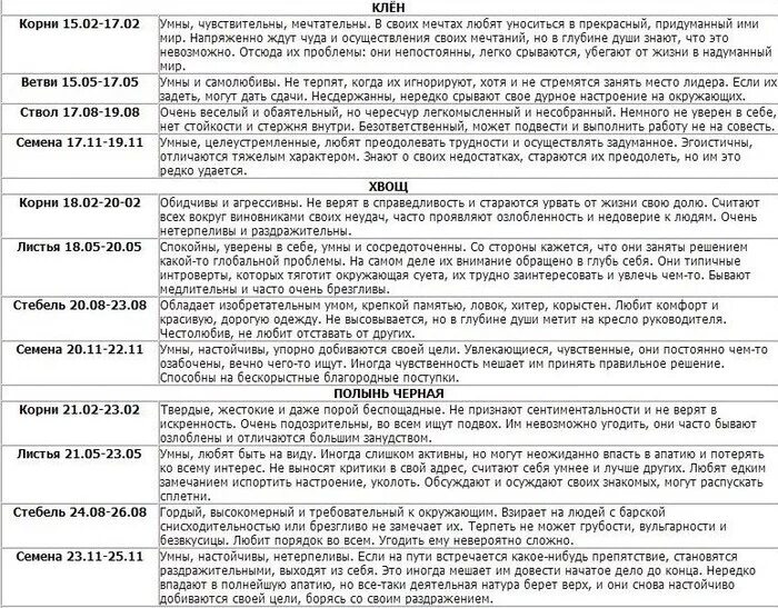 Чей год по славянскому календарю. Славянский гороскоп по годам. Славянский гороскоп по годам и месяцам. Старославянский гороскоп по году рождения. Славянский гороскоп по месяцам по знакам зодиака.