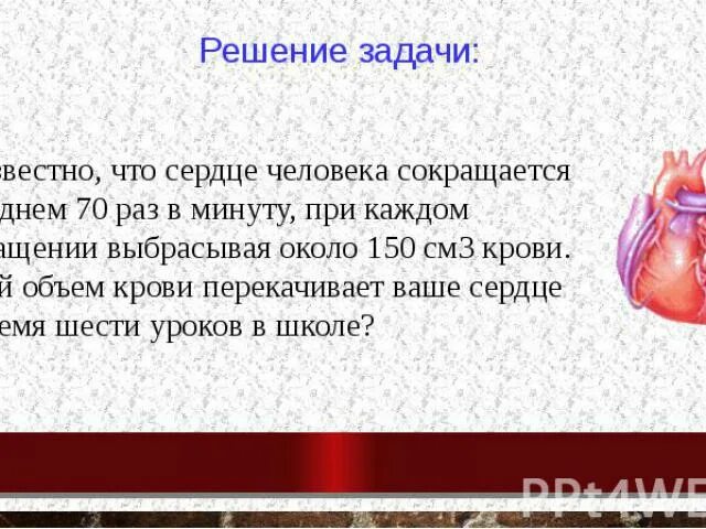 Сердце кровь сколько литров. Сколько крови перекачивает сердце. Сколько литров крови перекачивает сердце за сутки. Сколько крови перекачивает сердце в минуту. Сколько литров крови перекачивает сердце в минуту.