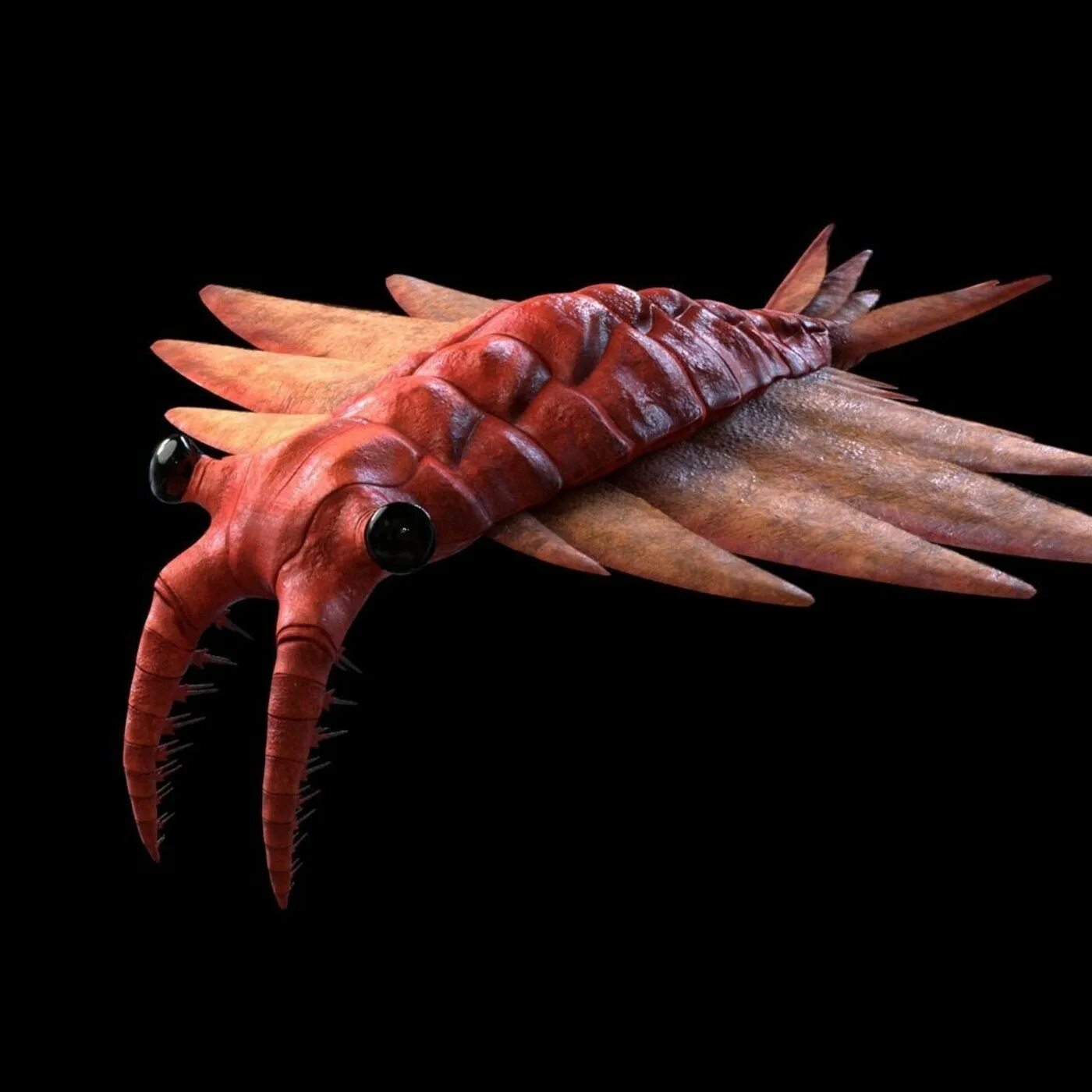 Аномалокарис из лего. Аномалокариды ордовик. Креветка аномалокарис. Аномалокарис эра. Аномалокарис.