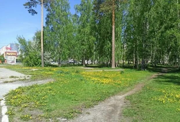 г верхняя пышма свердловская область. верхняя пышма панорама. глава поселка красный верхняя пышма. парк манина гора верхняя пышма. город екатеринбург верхняя пышма.