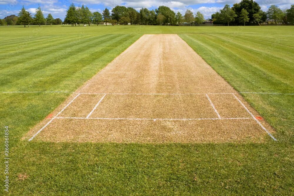 Pitch field
