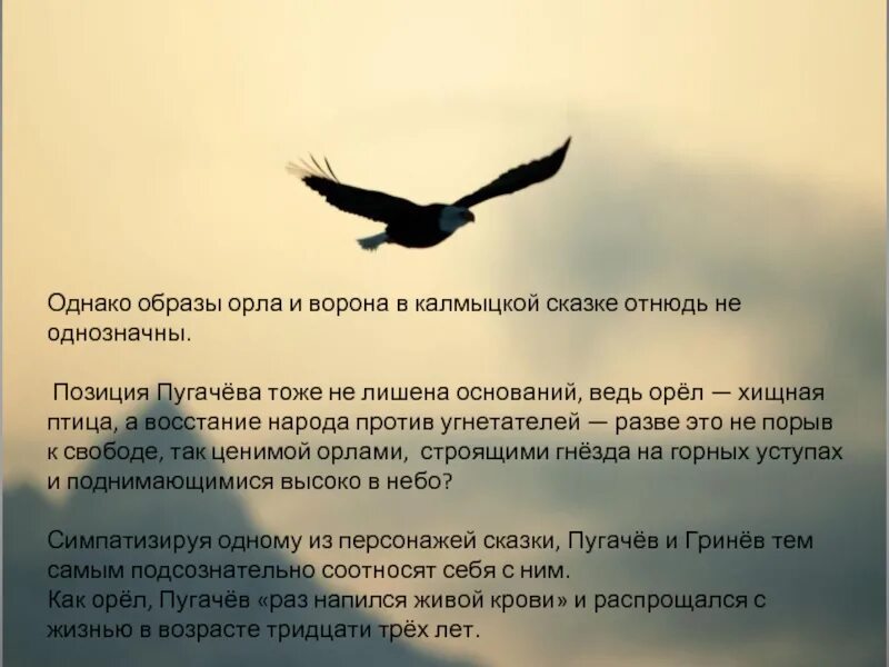 Ворон и орел из капитанской. Орел и ворон притча. притча об орле и вороне. притча про орла и ворона. калмыцкая сказка орел и ворон.