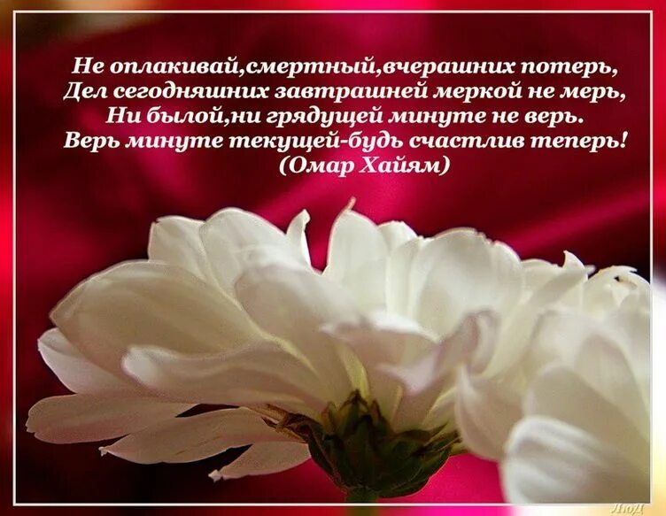 С днем рождения ваша мудрость
