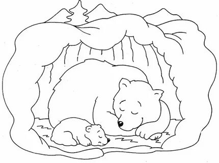 Kleurplaat winterslaap Bear coloring pages, Animal coloring pages, Hibernating b