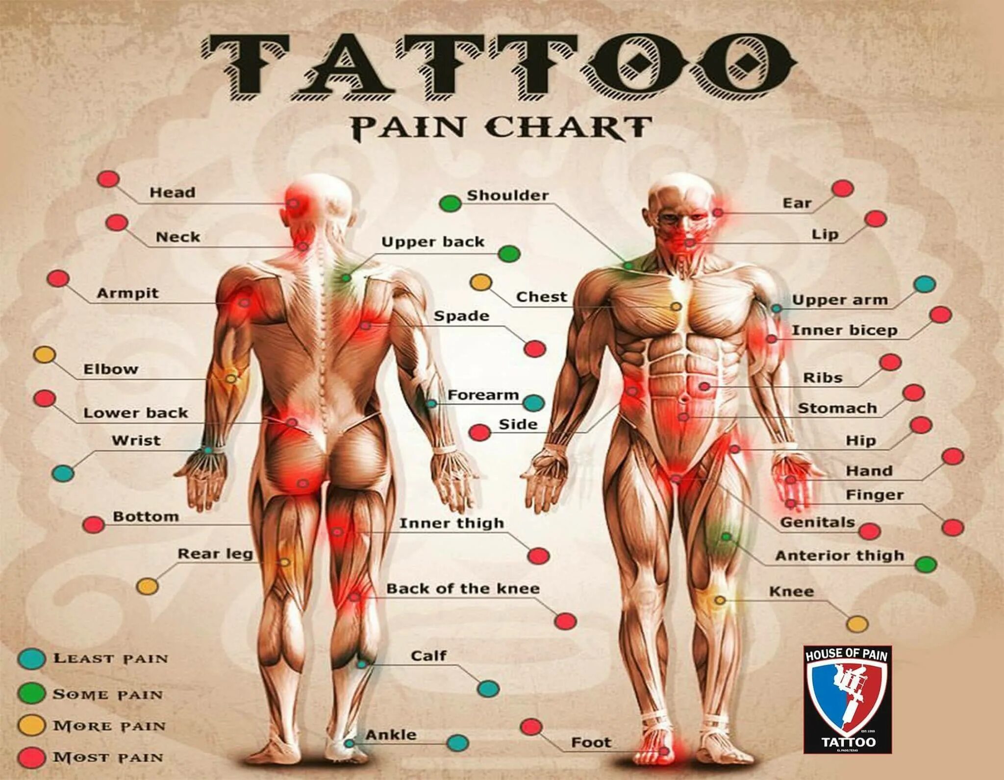 Больные места у человека. Самые больные места для татуировок. Карта боли тату. Оптимальные места для тату. Части тела для татуировок.