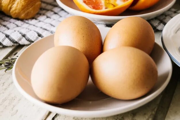 По самое яйцо фото The Champion Egg-Layers of the Bird World Audubon