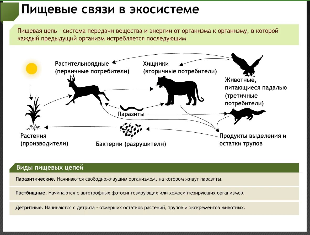 Экологическая теория эволюции. Закон минимума Либиха. Закон минимума Либиха картинка. Закон Либиха примеры.