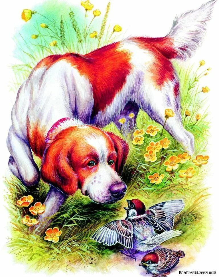 вдруг ее увидела собака