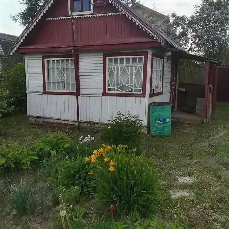 деревня маринкино владимирской области. снт черемушки 2 александров. дачи в александрове. деревня рыкулино тверская область. дачи в александрове владимирской.