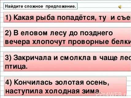 В еловом лесу с утра до позднего