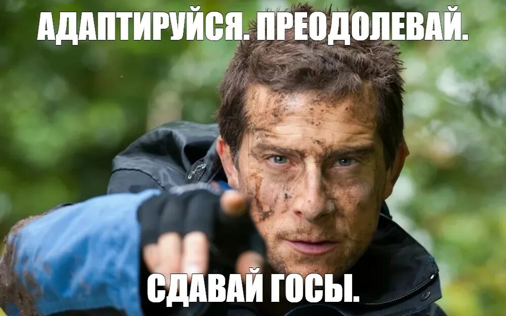 Беар Гриллс Адаптируйся. Беар Гриллс Адаптируйся выживай. Импровизируй Адаптируйся