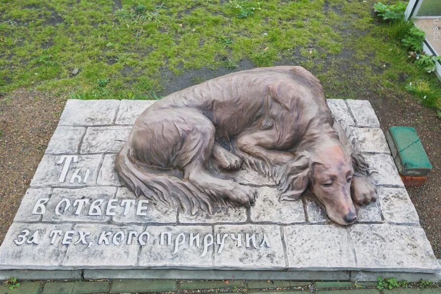 Памятник кусаки из рассказа кусака. Памятник собаке Кусаке. Памятник бездомной собаке кусака. Памятник бездомной собаке Екатеринбург. Памятник собаке Кусаке Андреев.