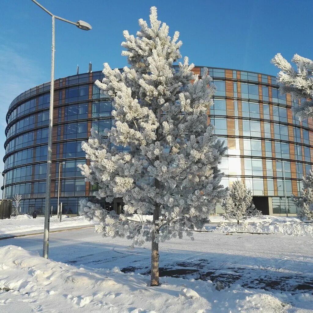 технопарк химки капитолий. технопарк им попова иннополис. технопарк магазин москва. технопарк тц щелковский. технопарк бытовая техника интернет магазин.