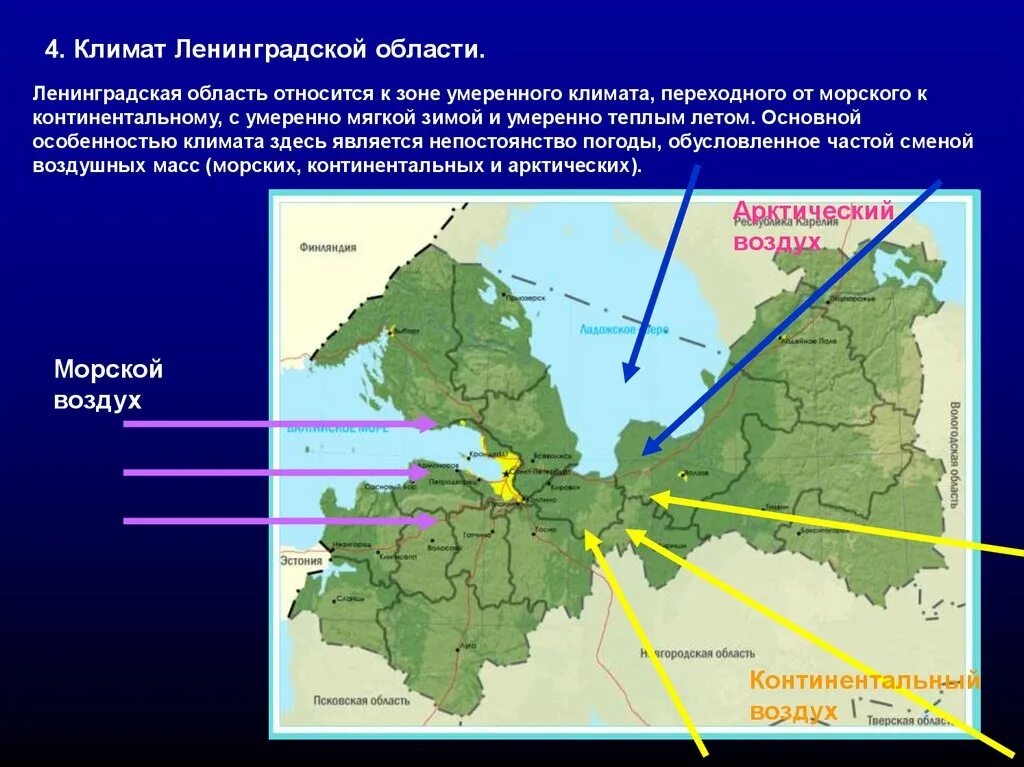 Информация о ленинградской области. Климатическая карта Санкт-Петербурга и Ленинградской области. Климатическая карта Ленобласти. География Ленинградской области. Географическое положение Ленинградской области.