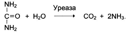 Кофактор уреазы. Мочевина реакции. Уреаза мочевина. Мочевина уреаза. Уреаза мочевина.