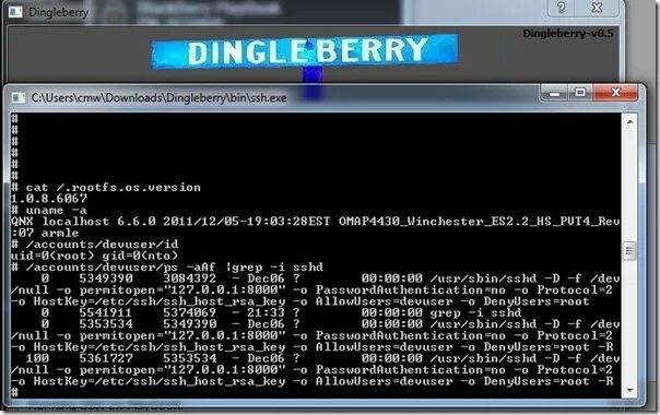 DINGLEBERRY BLACKBERRY. Hostkey картинки. Advanced users