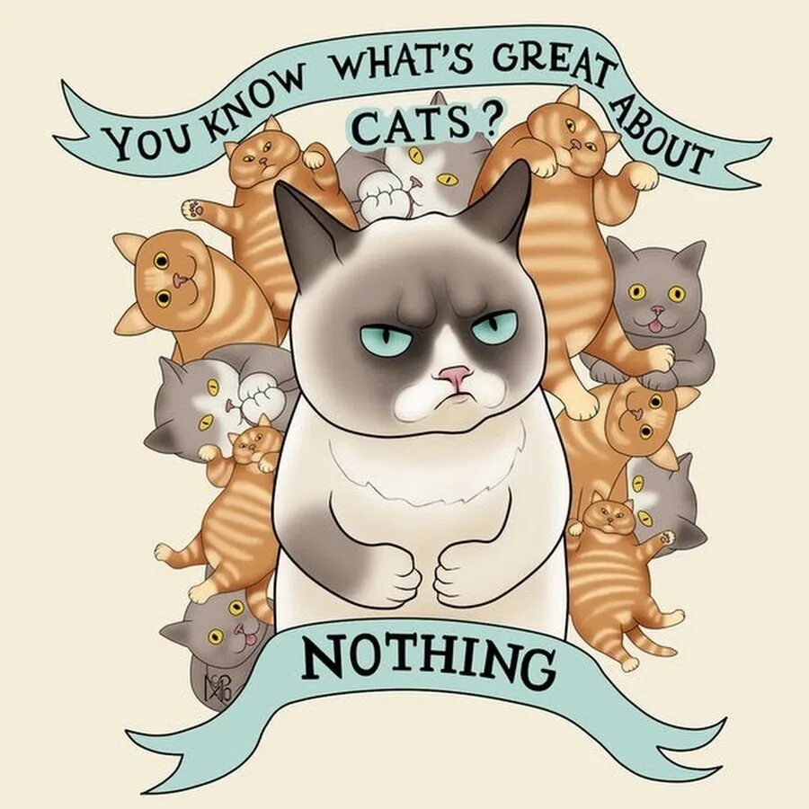 Cats nothing. Черная кошка мем. Cats nothing. Котики 700x350. Cats nothing.
