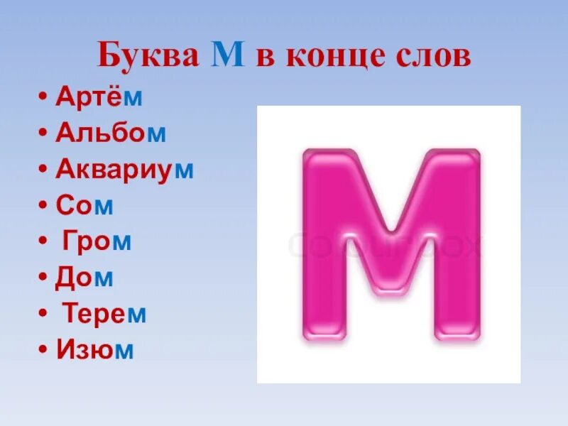 1 буква есть. Слова на букву м. Слова с буквой м в конце. Слова на букву м в конце слова. Слова на букву м картинки.