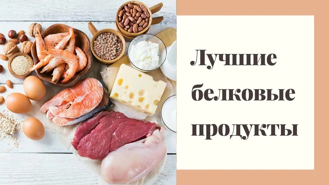 Белковые продукты. Продукты богатые белками. Продукты богатые Белко. Источники белка в продуктах. Самые богатые белком