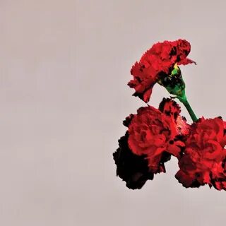 All in the love