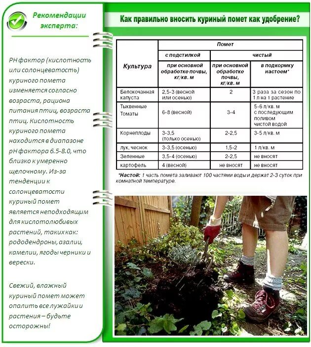 Подкормка растений. Удобрения для сада. Удобрения для сада схема. Куриный помет для огорода. Почему навоз рекомендуется вносить при осенней