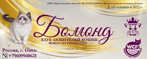 Club org
