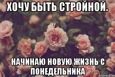 Начать новую жизнь песни