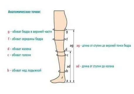 Середина бедра это где
