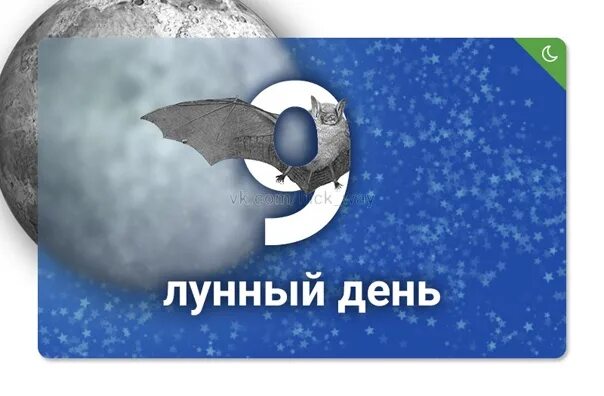 9 лун день. Символ 9 лунного дня. 9 Лунные сутки магия. Девятый лунный день. 9 Лунные сутки летучая мышь.