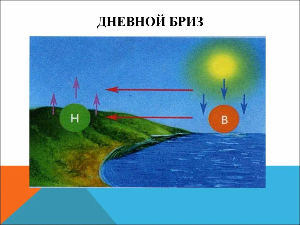 Схема образования ветра. Дневной и ночной Бриз. Схема появления ветра. Схема дневного и ночного бриза. Откуда дует воздух