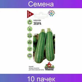 Кабачок зебра описание