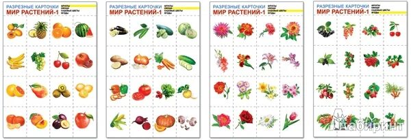 Раздаточный материал окружающий мир. Мир растений-2. комплект разрезных карточек. разрезные карточки мир растений 1. овощи раздаточный материал для детей. карточки ягоды для детей.