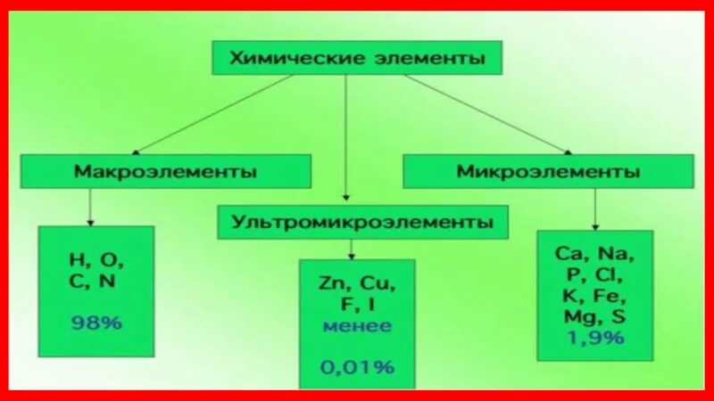 Какие элементы входят состав клетки. Органические и неорганические вещества клетки. Неорганические элементы клетки. Органические и неорганические элементы. Химический состав вещества.