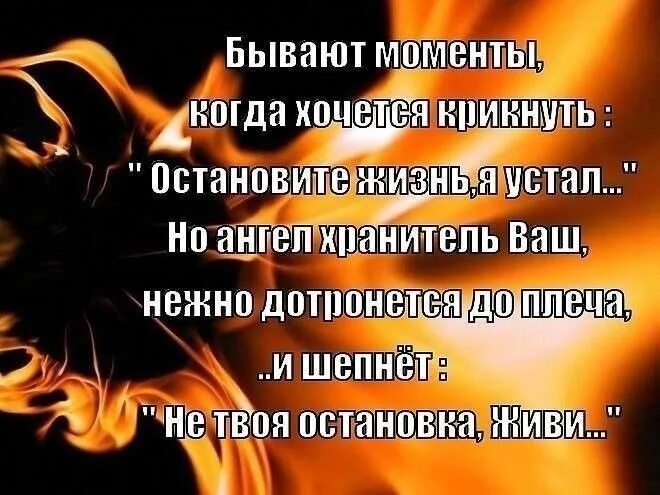 Устала от всего устала жить. Бывает моменты когда хочется крикнуть. Бывают моменты когда хочется крикнуть остановите жизнь я. Бывают моменты когда хочется крикнуть остановите жизнь я устал. Остановите жизнь я устала.