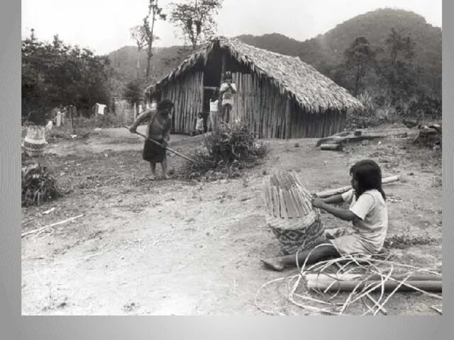 Гуарани племя индейцев Южной Америки. Жилища индейцев кечуа. Кечуа индейцы жилище. Индейцы в Латинской Америке 20 век. Быт в южной америке