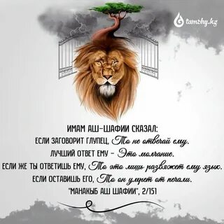 Имам аш шафий сказал