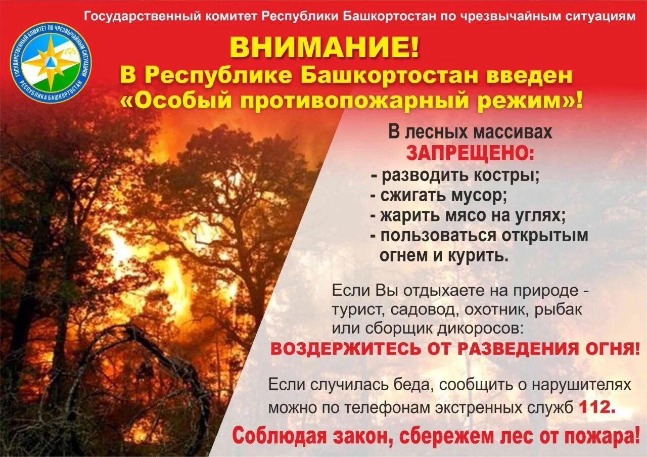 Об установлении особого противопожарного режима 2025