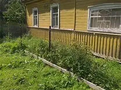 Хотилицы андреапольского. Погода хотилицы андреапольского тверской. Погода хотилицы андреапольского тверской. Андреапольский музей сайт. Усадьба хотилицы.