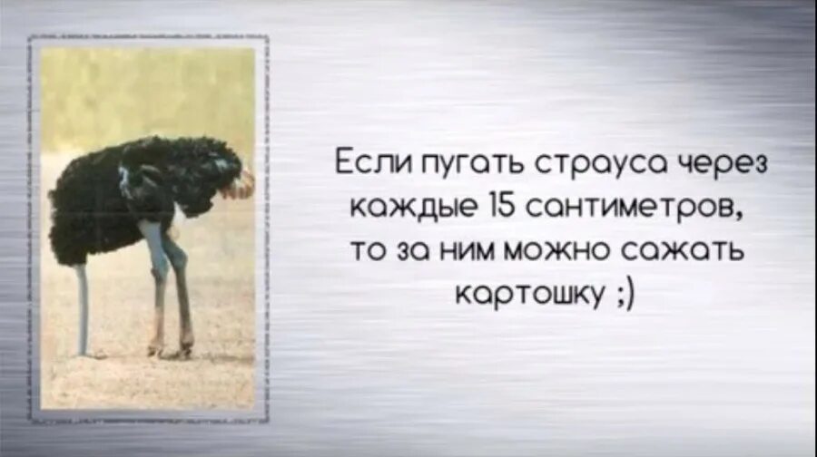 Три интересных факта
