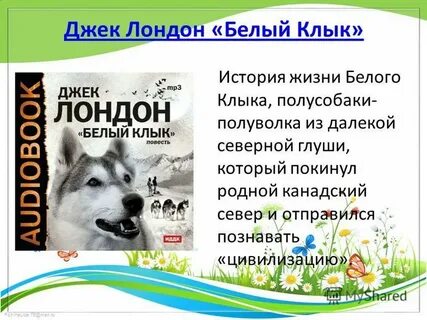 Джек лондон белый клык слушать