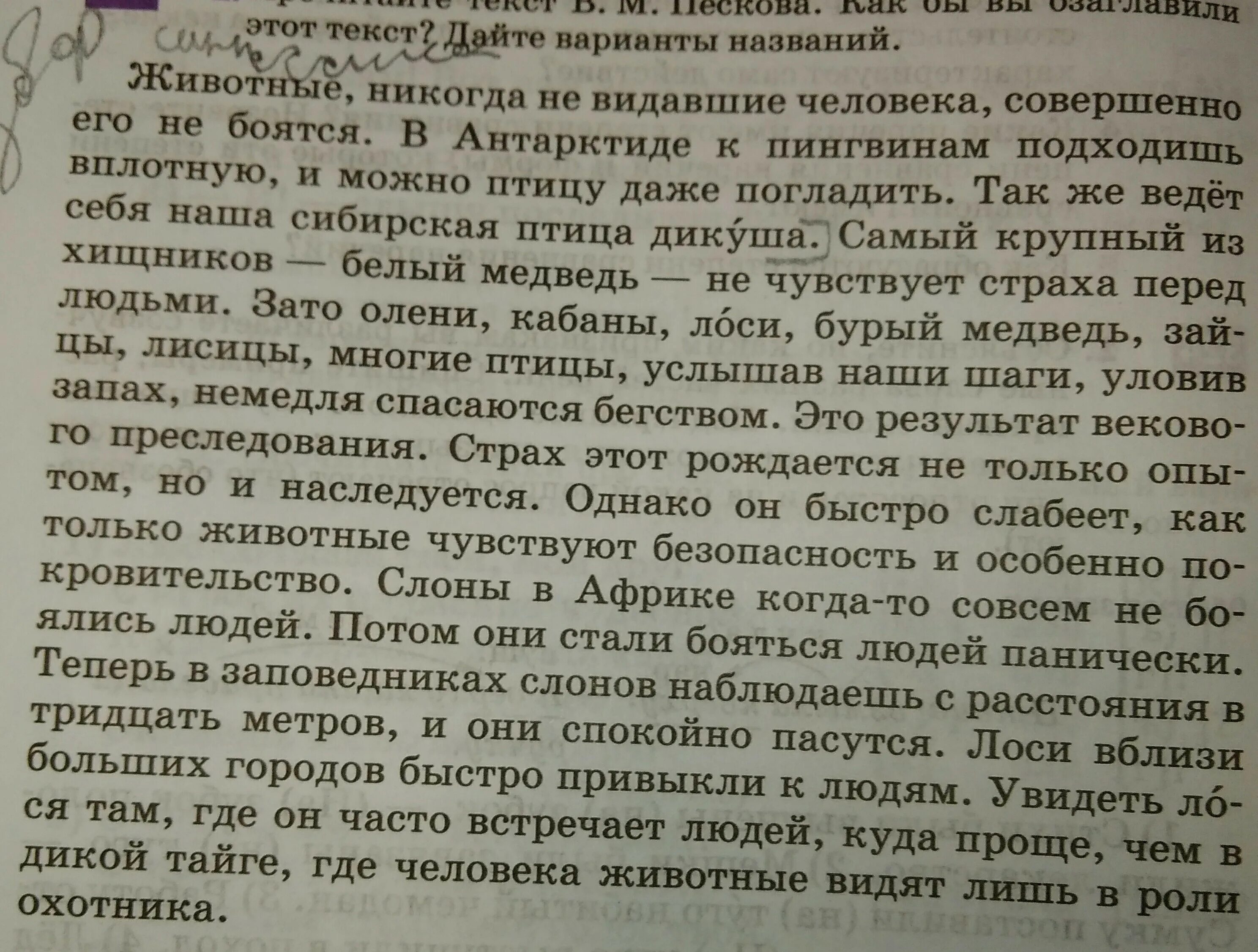 Это будет моим ответом текст. Ответы на этот текст. Этот текст. Ответ этого текста. Животные никогда не видавшие человека совершенно его не боятся.