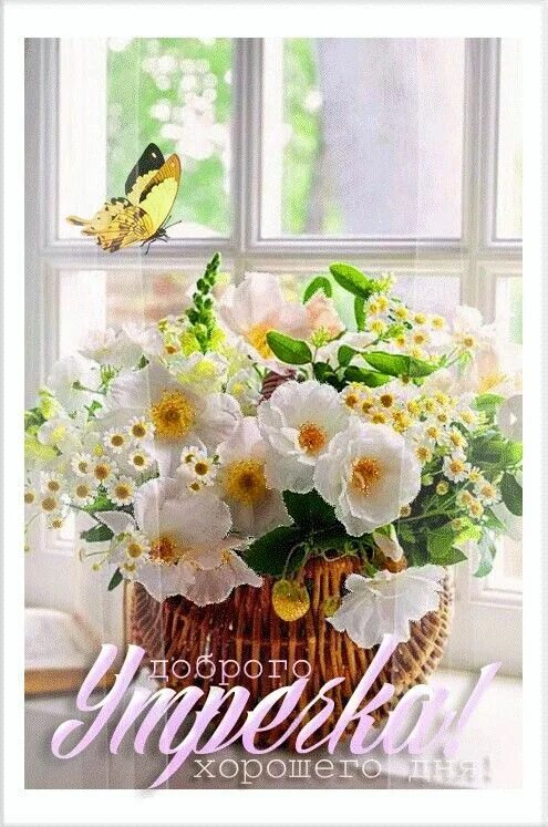 Цветы утром гифы. Доброе утро цветы красивые. Утренние цветы с пожеланиями. Красивый весенний букет на окне. С добрым летним утром цветы.